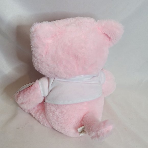 Hallmark My Whole Heart Kitty Pink Original Tag Storage Odor 10 Inch Plush - Picture 5 of 6